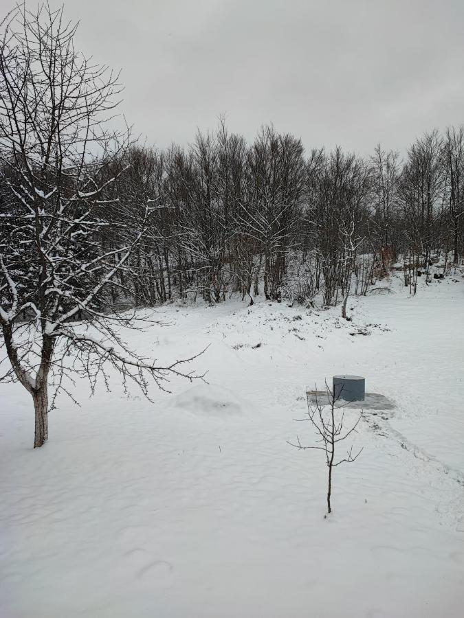 Holiday House Rukavina Donje Pazariste Exterior photo